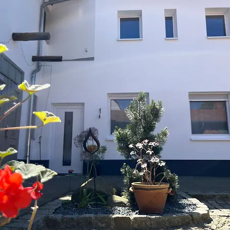 Ferienwohnung Am Schlossgarten Oranienbaum-Woerlitz Exterior photo