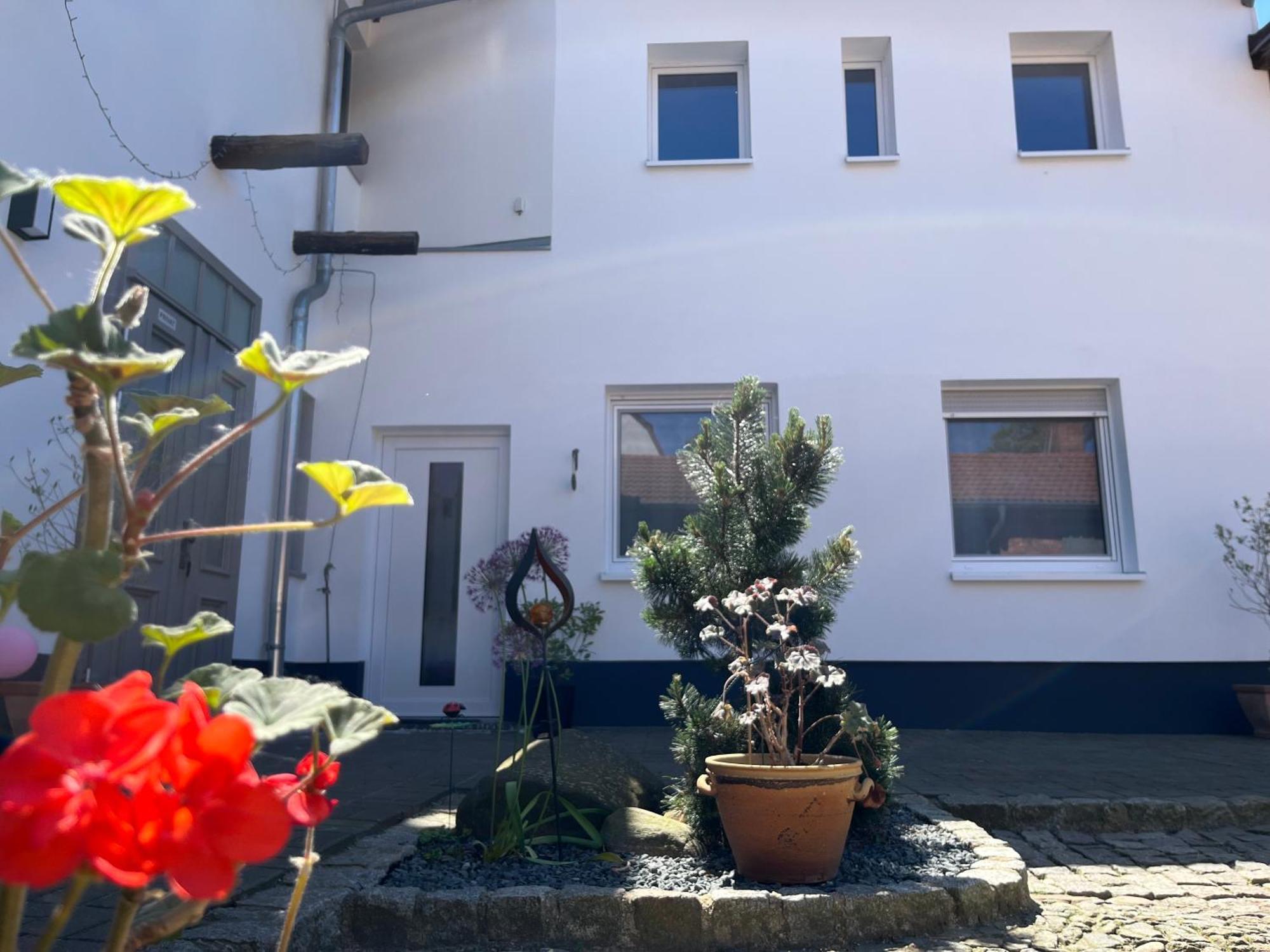 Am Schlossgarten Apartment *